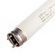 Лампа люминесцентная L 18W/765 25x1 OSRAM 590 мм